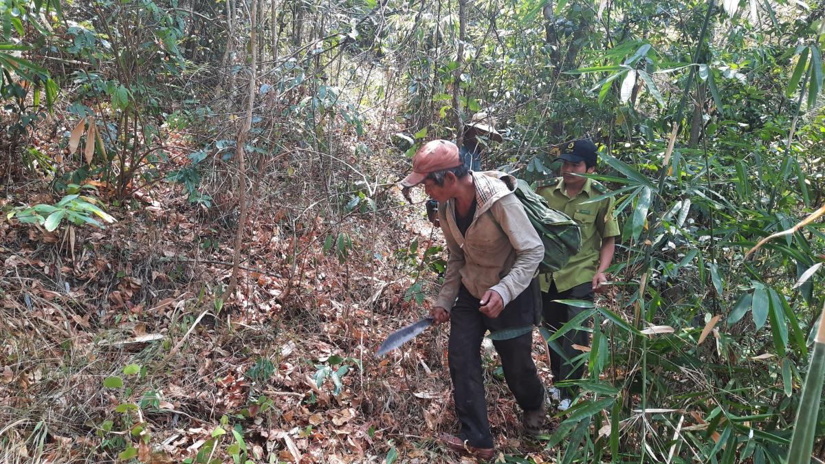 Giữ "vàng" cho mai sau (kỳ cuối)